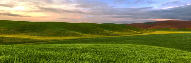 Farmscape Panorama VI