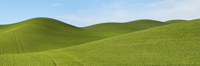 Farmscape Panorama VII