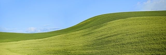Farmscape Panorama VIII