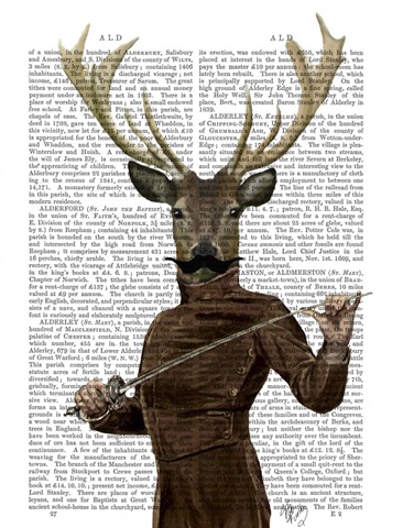 Fencing Deer Portrait