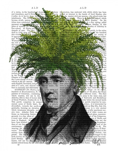 Fern Head Plant Head