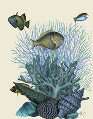 Fish Blue Shells and Corals