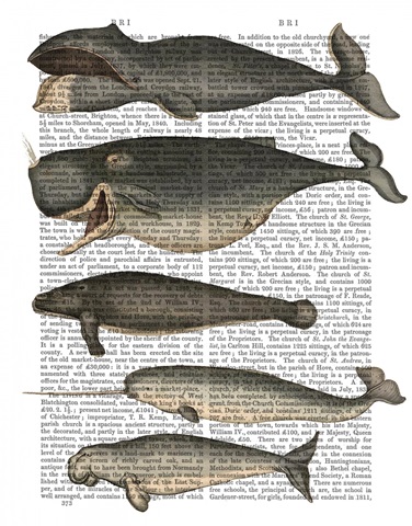 Five Vintage Whales