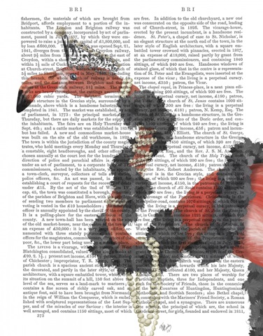 Flamingo and Pearls, Portrait