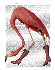 Flamingo in Pink Boots