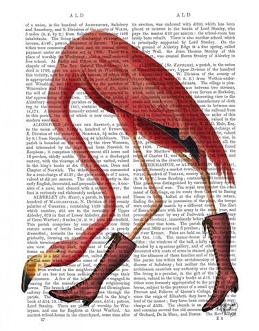Flamingo in Pink Boots