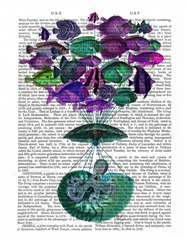 Flight Of The Fish Hot Air Balloon