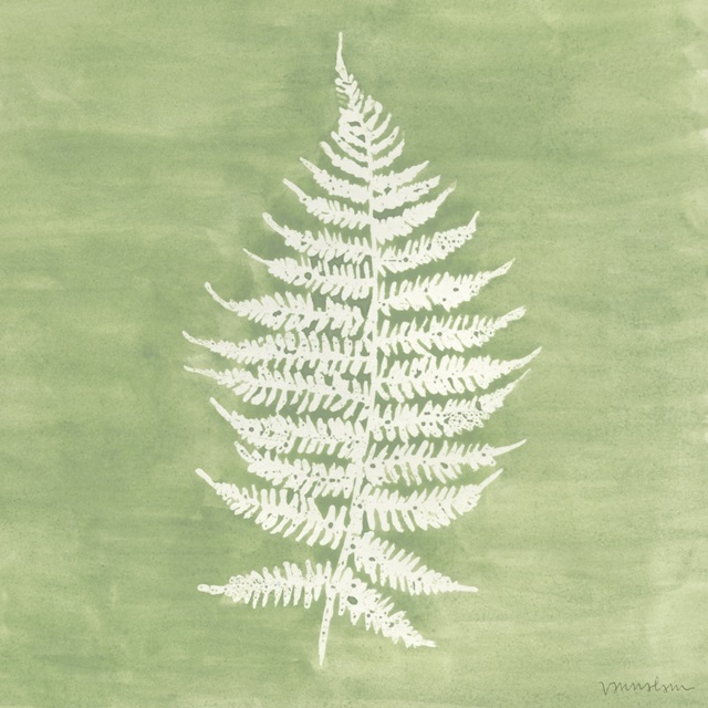 Forest Ferns I