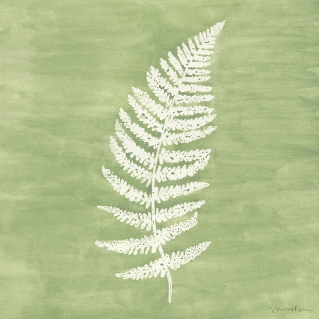 Forest Ferns III