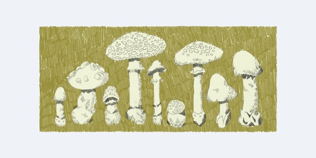 Forest Fungi I