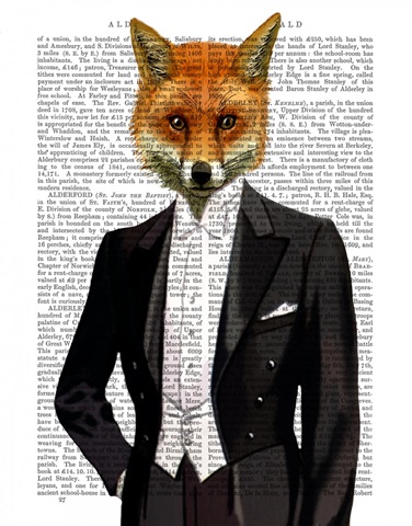 Fox In Evening Suit Portrait