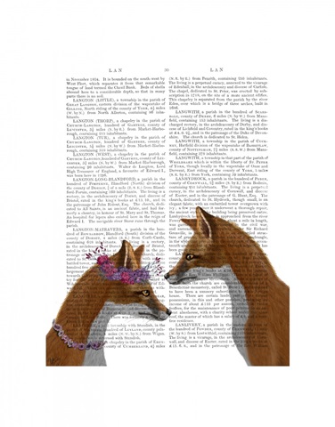 Fox Lovers