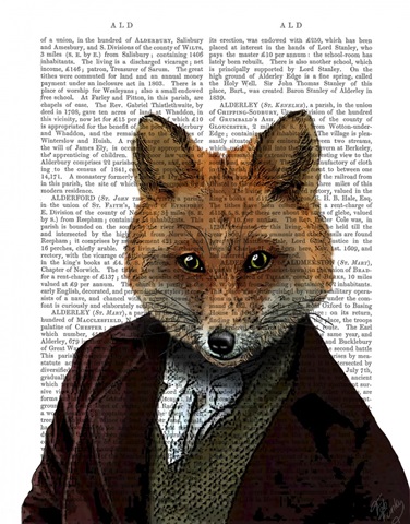 Fox Portrait 2
