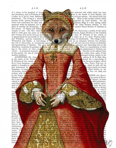 Fox Queen