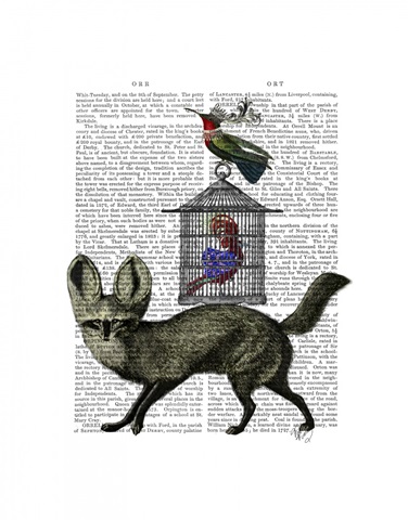 Fox With Birdcage