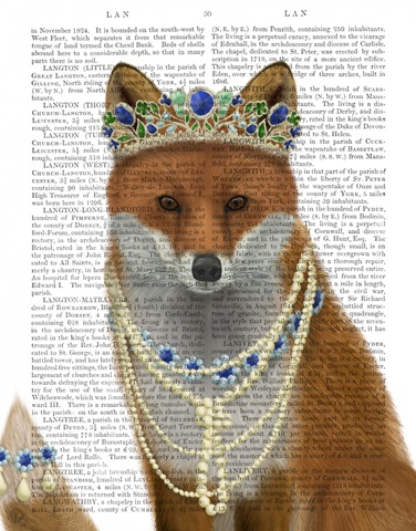 Fox with Tiara, Portrait