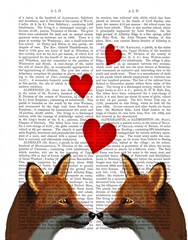 Foxes in Love