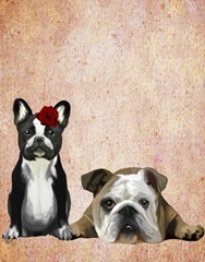 French Bulldog and English Bulldog