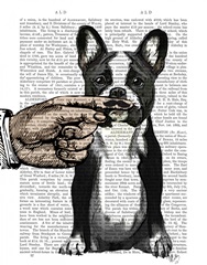 French Bulldog and Finger Moustache