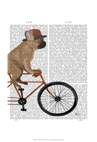 French Bulldog on Bicycle