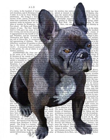 French Bulldog Plain