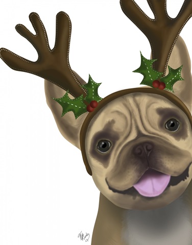 French Bulldog, Antlers 2