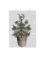 Garden Spade and Birds