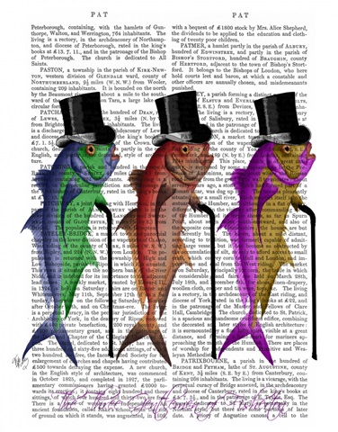 Gentleman of Fisherton