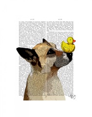 German Shepherd Dog and Duck