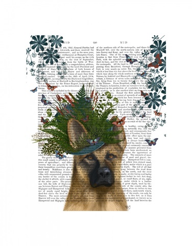 German Shepherd Milliners Dog