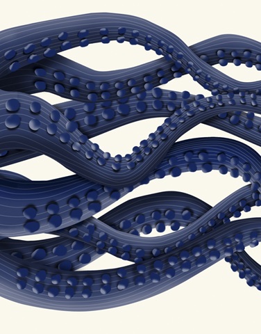 Giant Octopus Blue Triptych b