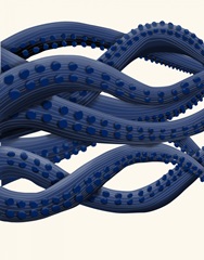 Giant Octopus Tentacles a