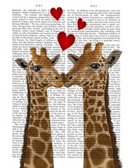 Giraffe Love