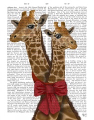 Giraffes and Bow