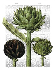 Globe Artichoke Print 1