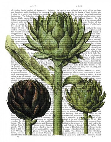 Globe Artichoke Print 1