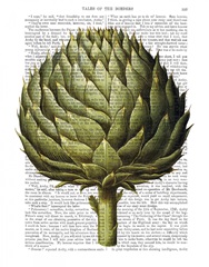 Globe Artichoke Print 2