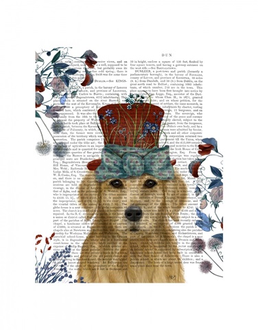Golden Retriever Milliners Dog