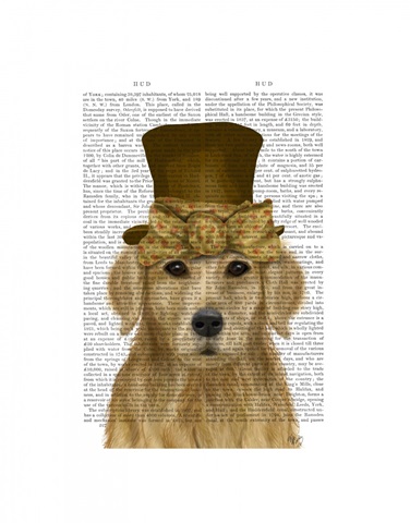 Golden Retriever, Hat and Bow