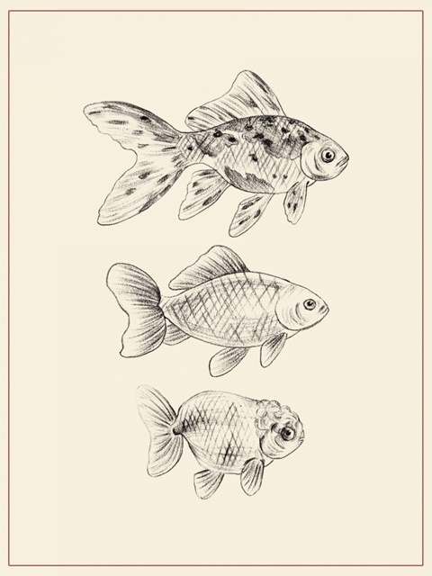 Goldfish I