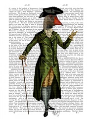 Goose in Green Regency Coat