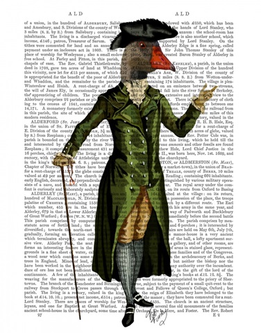 Goose in Green Regency Coat