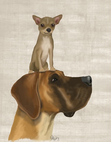 Great Dane and Chihuahua