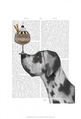 Great Dane, Harlequin, Ice Cream