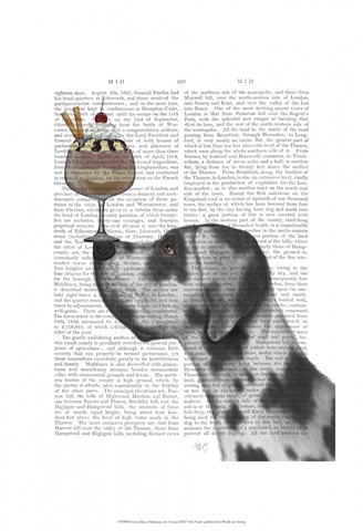 Great Dane, Harlequin, Ice Cream