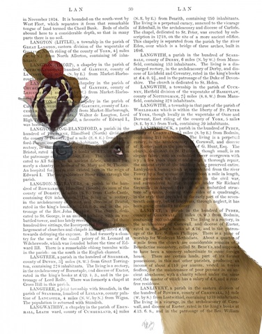 Great Dane, Tan, Ice Cream