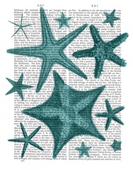 Green Starfish Collection