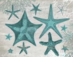 Green Starfish Collection