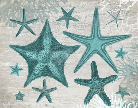 Green Starfish Collection