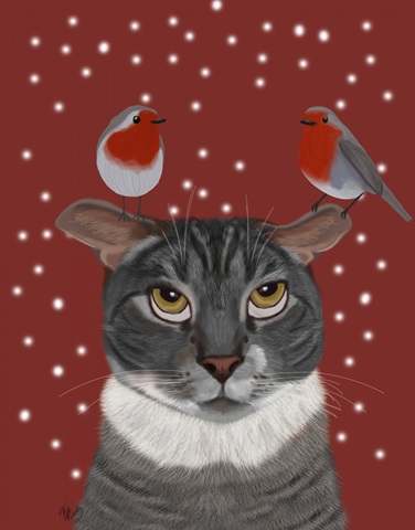 Grey Cat and Robins